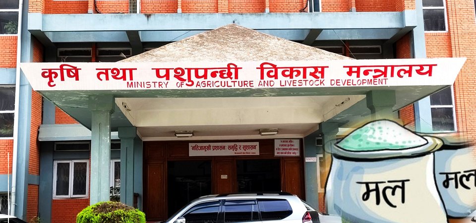 रासायनिक मल गोदाममा मौज्दात, ढुवानी समस्याले किसानसम्म पुगेन